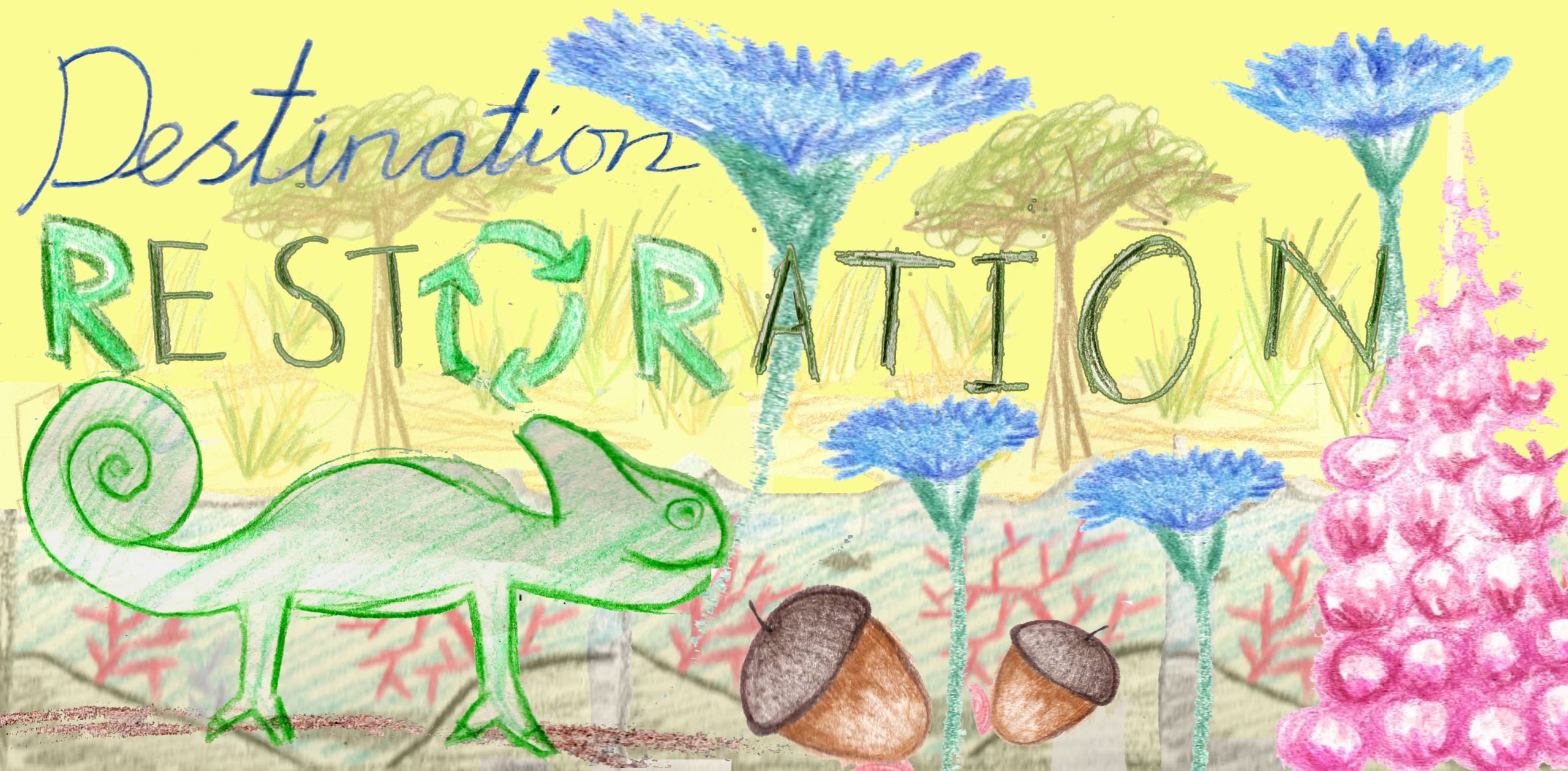 Passports to our Flourishing World - a Parkside pupil led weekend of footprint advice, crafts, film and a Climate Fresk