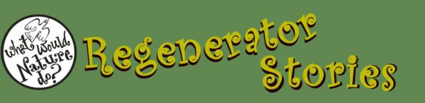 Regenerator stories