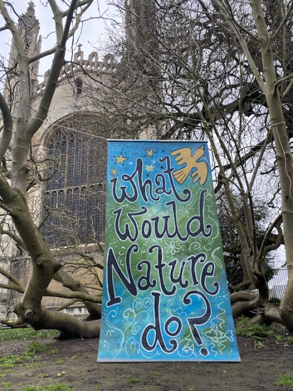 what would nature do hanging copy